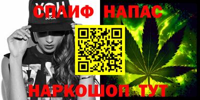 мдпв Обь
