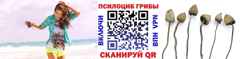 Галлюциногенные грибы мицелий Егорьевск