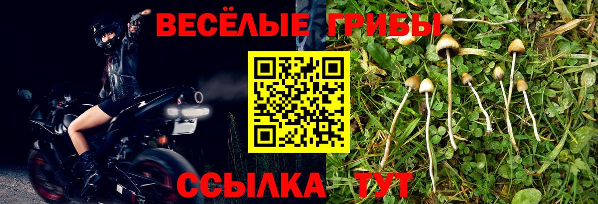 Егорьевск  Псилоцибиновые грибы ЛСД  Вход с VPN 